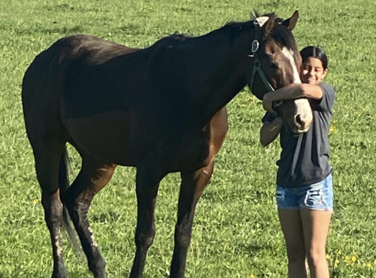 Newsletter – Edition #1