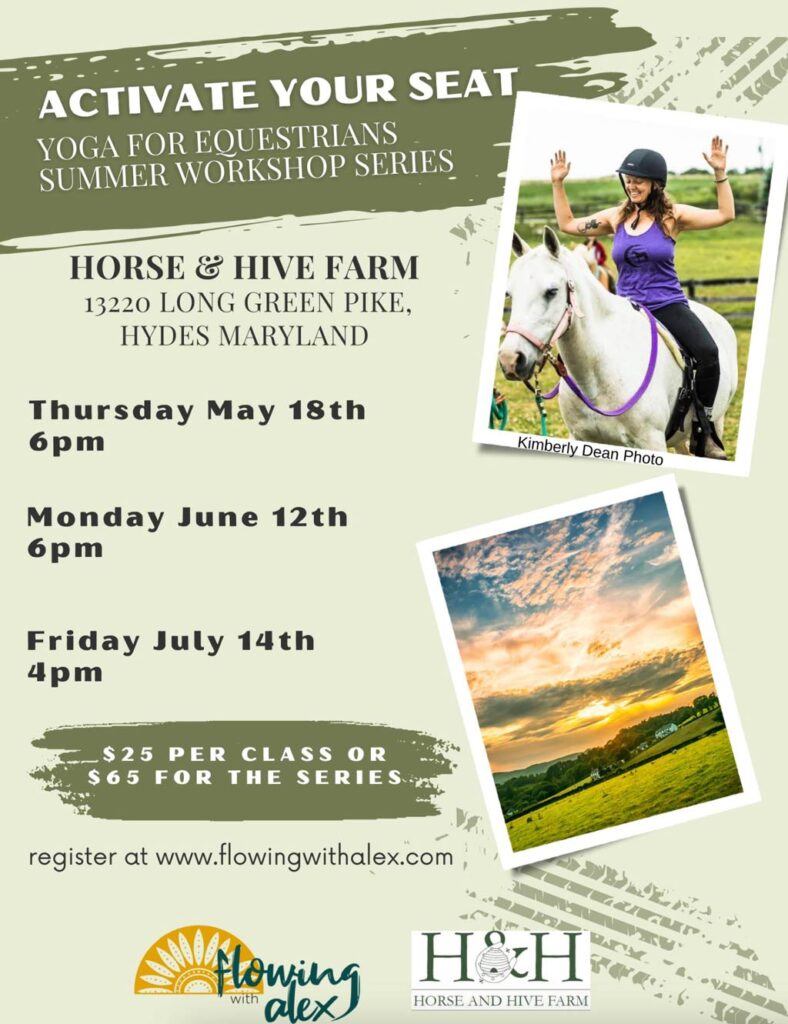 Yoga-at-the-Horse-and-Hive-Farm