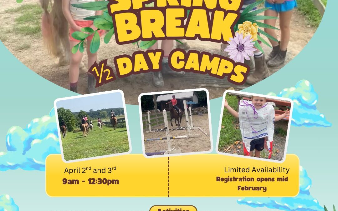 Spring Break 1/2 Day Camps