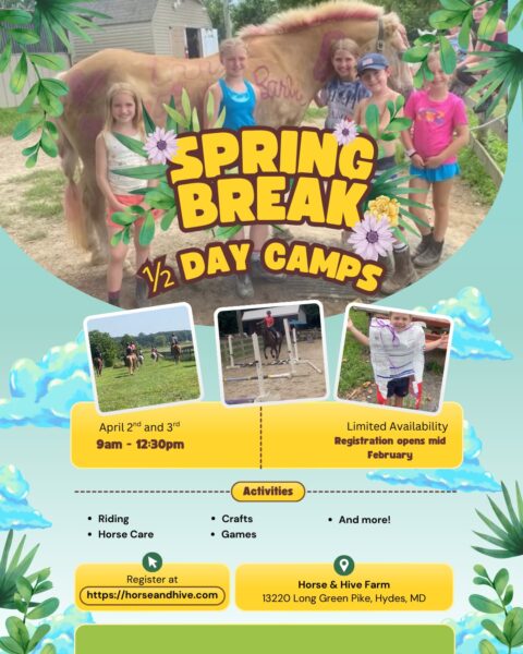 Spring Break 1/2 Day Camps | Horse & Hive Farm